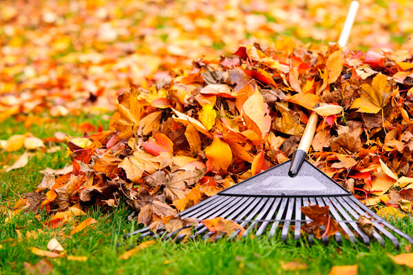 3 Reasons to Schedule Professional HVAC Maintenance in the Fall